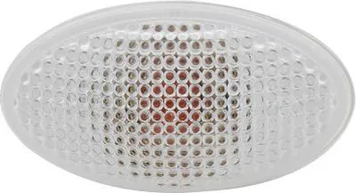Produktbild von DIEDERICHS 1205079 Blinker Blinkleuchte für MINI Schrägheck (R50, R53) Cabrio (R52)