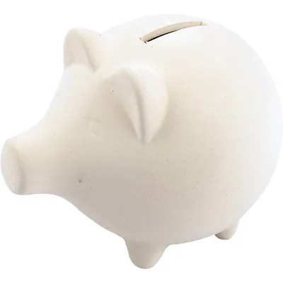 Productafbeelding van Spaarvarken, hoogte 11 cm, lengte 14 cm, 10 stuks.