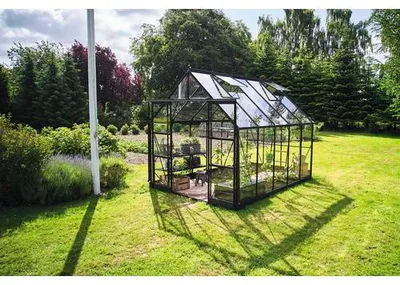 Produktbild von Gewächshaus Halls Icon 8 8,1 m² Sicherheitsglas 3 mm 254,7 x 316,9 cm schwarz