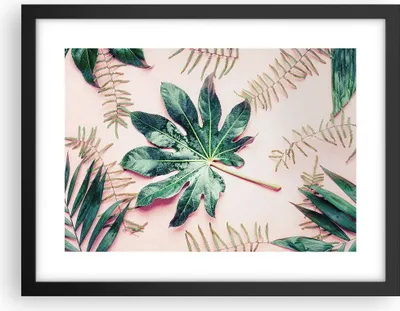 Produktbild von Gerahmtes Poster - Schwarzer Rahmen - Blatt Tropisch Palme - 40x30 cm - Wand Bild - Wanddeko - Wandbilder - Kunstposter - Wandposter - Bilderrahmen - Bilder - Kunstdruck - Wandbild - P2BAA40x30-4314