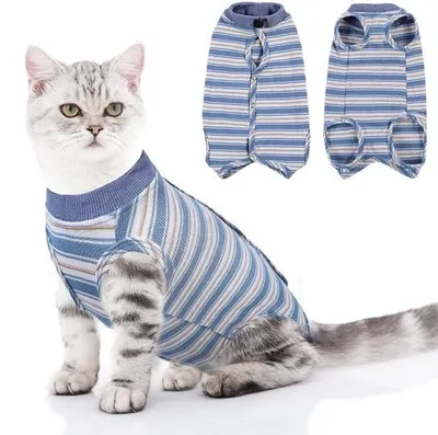 Imagen del producto de Ibenzoa®: Traje de recuperación para gatos después de cirugías. Ofrece protección postoperatoria con un cuello elástico, material transpirable y elástico, y un ajuste de cuello regulable