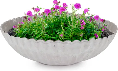 Produktbild von Dekoschale runde Pflanzschale für draussen grau marmoriert 22 cm