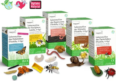 Produktbild von TimeTEX Set Lebenszyklus-Modell "Insekten & Co.", 20-tlg.