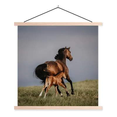 Produktbild von MuchoWow® Textilposter Tiere - Pferde - Fohlen 60x60 cm mit holzfarbenen Rahmen - Wanddekoration