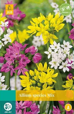 Productafbeelding van Allium Species Mix JUB, 25 bloembollen