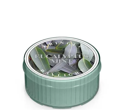 Obrázek produktu pro Kringle Candle Duftkerze Daylight Maxi-Teelicht Eucalyptus Mint