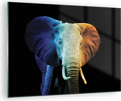 Produktbild von Bilder auf glas - Einteilig - Bunt Elefant Fotografie - 70x50cm - Glasbilder - Wandbilder - Bilder - zum Aufhängen bereit - Wanddekoration aus Glas - Glas Bilder - Wandbild auf Glas - GAA70x50-4768