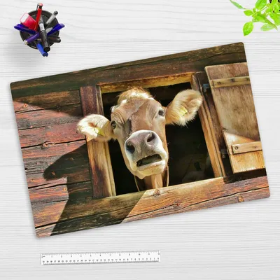 Produktbild von Schreibtischunterlage für Kinder und Erwachsene – “Neugierige Kuh“ – aus erstklassigem strapazierfähigem Vinyl – 60 x 40 cm – Germany