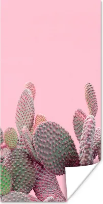 Produktbild von MuchoWow® Poster Kaktus - Pflanzen - Sommer 60x120 cm - Wandschmuck