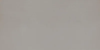 Produktbild von Bodenfliese Feinsteinzeug Promo 31 x 62 cm grau