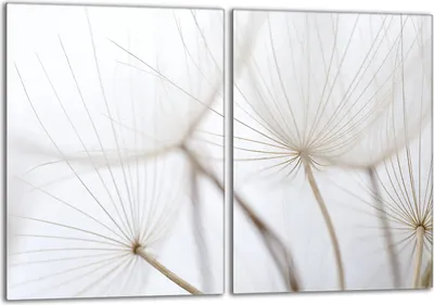 Produktbild von Herdabdeckplatten Set 2x40x52 cm Glaskeramikkochfeld Abdeckung Glas Spritzschutz, Löwenzahn Beige