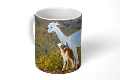 Produktbild von KitchenYeah® Tasse Kaffeetasse Kaffeebecher 350 ml Alpakas - Berge - Natur Teetasse - Fototasse - Becher - Keramikbecher - Teebecher - Kaffeetasse - Bürotasse