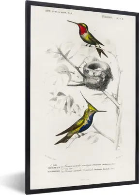 Produktbild von MuchoWow® MuchoWow® Gerahmtes Poster Vogel - Vintage - Zweig 60x90 cm - Poster mit zchwarzem Bilderrahmen - Kunst
