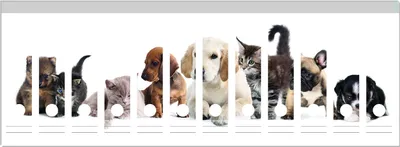 Produktbild von Wallario Ordnerrücken Sticker, selbstklebend für breite Ordner, 12 Stück, Motiv Hundewelpen und Katzenjunge