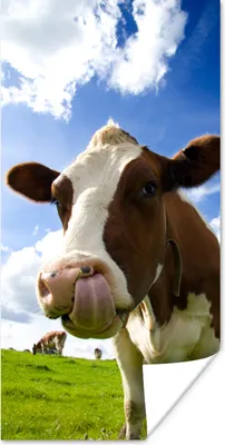 Produktbild von MuchoWow® Poster Kuh - Bauernhof - Gras 20x40 cm - Plakat - Foto