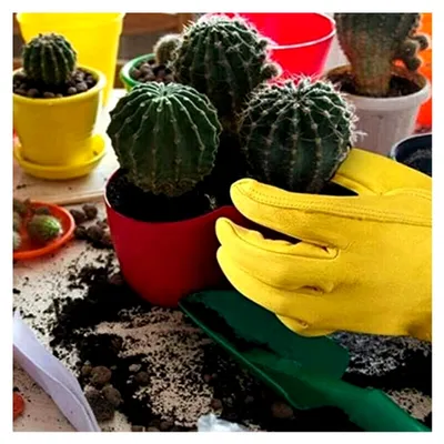 Produktbild von Dornensichere Gartenhandschuhe für den Rosenschnitt, lange Ausführung für Damen und Herren, Größe L
