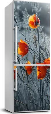 Imagen del producto de Decoración para nevera Tulup - 70x190 cm - Adhesivo para nevera - Flores silvestres, amapola