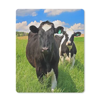 Produktbild von MuchoWow® Mauspad Mousepad Kuh - Gras - Natur - Tiere 19x23 cm - Mousepads - Maus Mat - Pad - Mausunterlage - Mauspads - Spielen