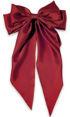 Produktbild von Haarspange ZU-40174 in Bordeaux – Elegantes Accessoire KP40174