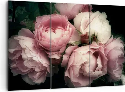 Produktbild von Bild auf Leinwand - Leinwandbild - Pfingstrose Blume - 105x70cm - Wand Bild - Wanddeko - Wandbilder - Leinwanddruck - Bilder - Kunstdruck - Wanddekoration - Leinwand bilder - Wandkunst - CE105x70-3930
