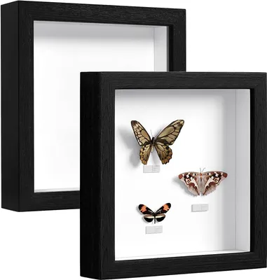 Produktbild von EUGAD 2 x 3D Bilderrahmen zum Befüllen, Holzrahmen, Schwarz, 20x20cm