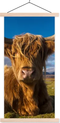 Produktbild von MuchoWow® Textilposter Schottische Hochlandrind - Tiere - Gras 60x120 cm mit holzfarbenen Rahmen - Holz