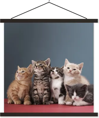 Produktbild von MuchoWow® Textilposter Kätzchen - Blau - Rosa - Mädchen - Kinder - Jungen - Kind 60x60 cm mit schwarzem Rahmen - Posteraufhänger