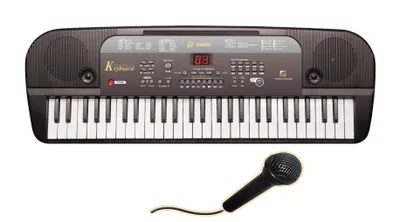 A black electronic keyboard with a microphone in front of it, on a white background.