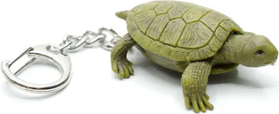 Produktbild von Landschildkröte Schlüsselanhänger Miniblings Schildkröte Landschildkröte olive