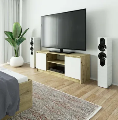 Image de Meuble TV bas 140 cm, meuble TV à 2 portes, meuble TV de 55 cm de haut et 40 cm de profondeur, CLP