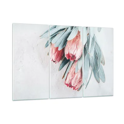 Produktbild von Bilder auf glas - 3 Teile - Blume Eukalyptus Australier - 105x70cm - Glasbilder - Wandbilder - Bilder - Wanddekoration aus Glas - Glas Bilder - Wandbild auf Glas - GCE105x70-5016