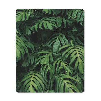 Produktbild von MuchoWow® Mauspad Mousepad Blätter - Monstera - Abstrakt - Mädchen - Kinder - Jungen 30x40 cm - Mousepads - Maus Mat - Pad - Mausunterlage - Mausmatten