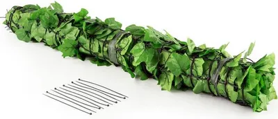 Produktbild von Fency Dark Ivy Sichtschutzzaun Windschutz 300x100 cm Efeu dunkelgrün, Farbe:Hellgrün, Variante:100 cm / Efeu
