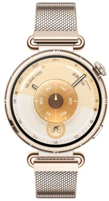 Obrázek produktu pro Chytré hodinky Huawei Watch GT6, Konsu-B19M Milánský