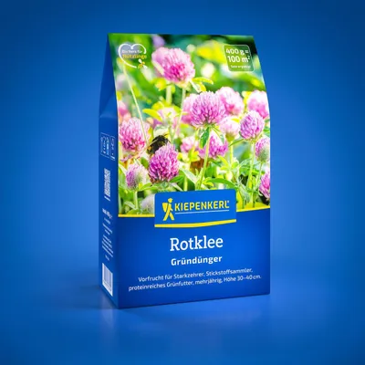 Produktbild von Kiepenkerl Rotklee Trifolium pratense für 100 m² 0,4 kg