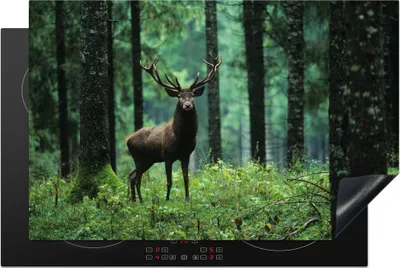 Produktbild von KitchenYeah© Herdabdeckplatte Hirsche - Wald - Bäume - Tiere - Natur , 80x52cm, Küche Deko, Glaskeramikkochfeld Herdabdeckung, Abdeckplatte fùr Kochfeld