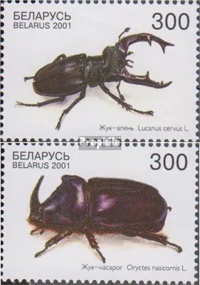 Produktbild von Briefmarken Weißrussland 2001 Mi 403-404 (kompl.Ausg.) postfrisch Käfer