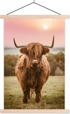 Produktbild von MuchoWow® Textilposter Sonnenuntergang - Tier - Schottisches Hochlandrind 60x90 cm mit holzfarbenen Rahmen - Textil