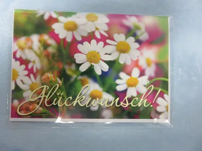 Obrázok produktu pre Blahoželanie s obálkou * Blahoželanie s motívom kvetov / Cartolini
