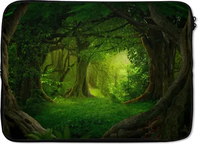 Produktbild von MuchoWow® Laptop Hülle 14 ZollBäume - Wald - Grün - Landschaft - Natur Laptoptasche - Laptoptasche - Stoßsicher - Schutzhaube