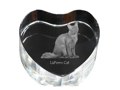 Produktbild von LaPerm Katze - Kristalluhr mit Katzenbild, Herzregal-Uhr, personalisierte Standuhr von Art-Dog.