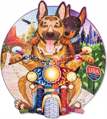 Obrázek produktu pro 2D puzzle, Motorkáři psi, WT, dřevo, 256 dílků