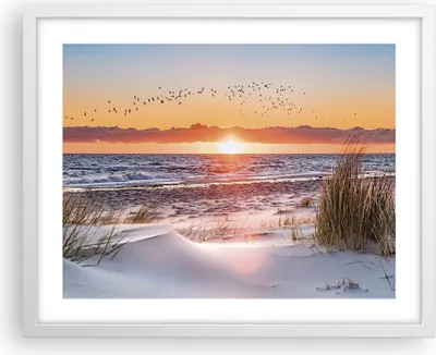 Produktbild von Gerahmtes Poster - Weißer Rahmen - Sonne Strand Vögel - 50x40 cm - Wand Bild - Wanddeko - Wandbilder - Kunstposter - Wandposter - Bilderrahmen - Bilder - Kunstdruck - Wanddekoration - P2WAA50x40-4727