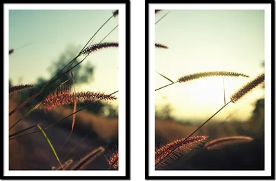 Obrázek produktu pro BILDPOSTER V RÁMU 53x73cm diptych sada 2 obrazů trávy boho P2176