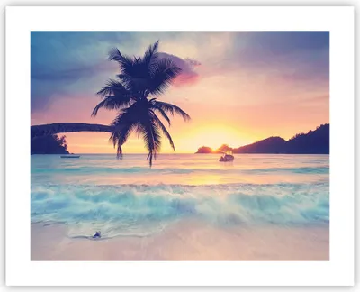 Produktbild von Poster - Poster ohne Rahmen - Meer Strand Palme - 50x40 cm - Wand Bild - Wanddeko - Wandbilder - Kunstposter - Wandposter - Bilder - Kunstdruck - Wanddekoration - Wandbild - P2XAA50x40-3992