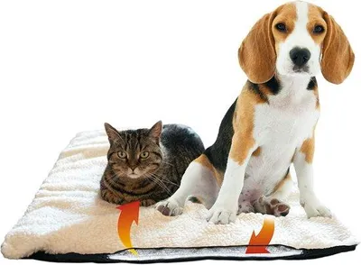 Productafbeelding van 90 x 64 cm - Zelfverwarmende deken voor Honden - Afwasbaar en Kraakvrij Zachte deken voor huisdieren