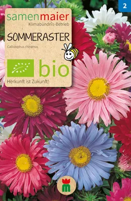 Produktbild von Sommeraster Mischung - Saatgut für zirka 50 Pflanzen