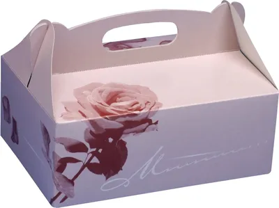 Produktbild von 15 Papstar Gebäck-Kartons, Pappe eckig 26 cm x 22 cm x 9 cm rosé mit Tragegriff 18853