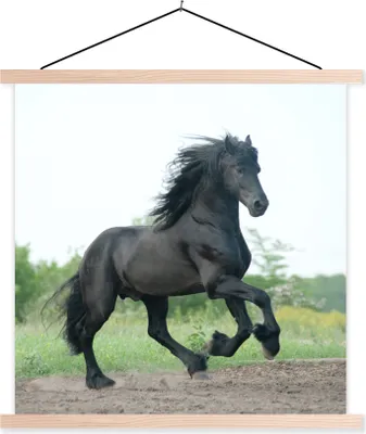 Produktbild von MuchoWow® Textilposter Pferd - Schwarz - Natur 40x40 cm mit holzfarbenen Rahmen - Posterleiste