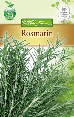 Artikelbild 1 von 'Rosmarin' aus der Kategorie Rosmarinsamen